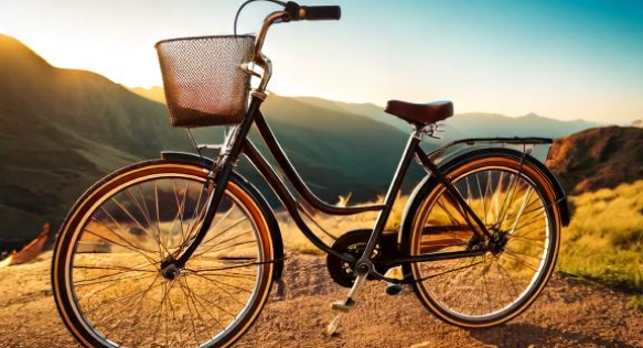 koga miyata bike